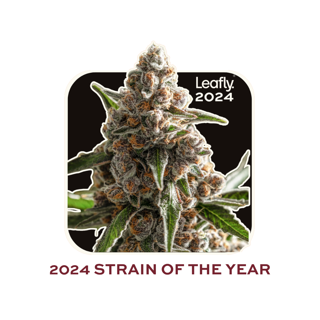 Leafly Strain of the Year · 2024